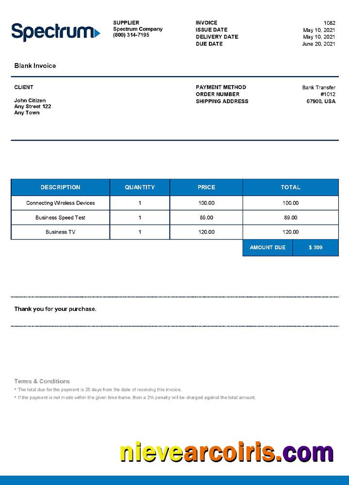 USA Spectrum invoice